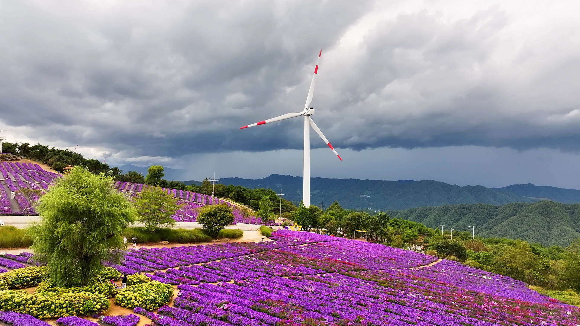 감악산 별바람언덕